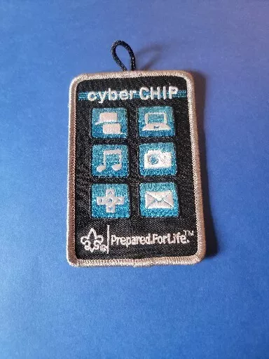 Bsa Boy Scout Cyber Chip Prepared For Life Card | Ebay