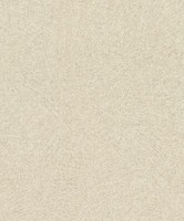 Rasch Tapete 520248 Concrete Vliestapete Wischoptik Beige (4,19€/1Qm)