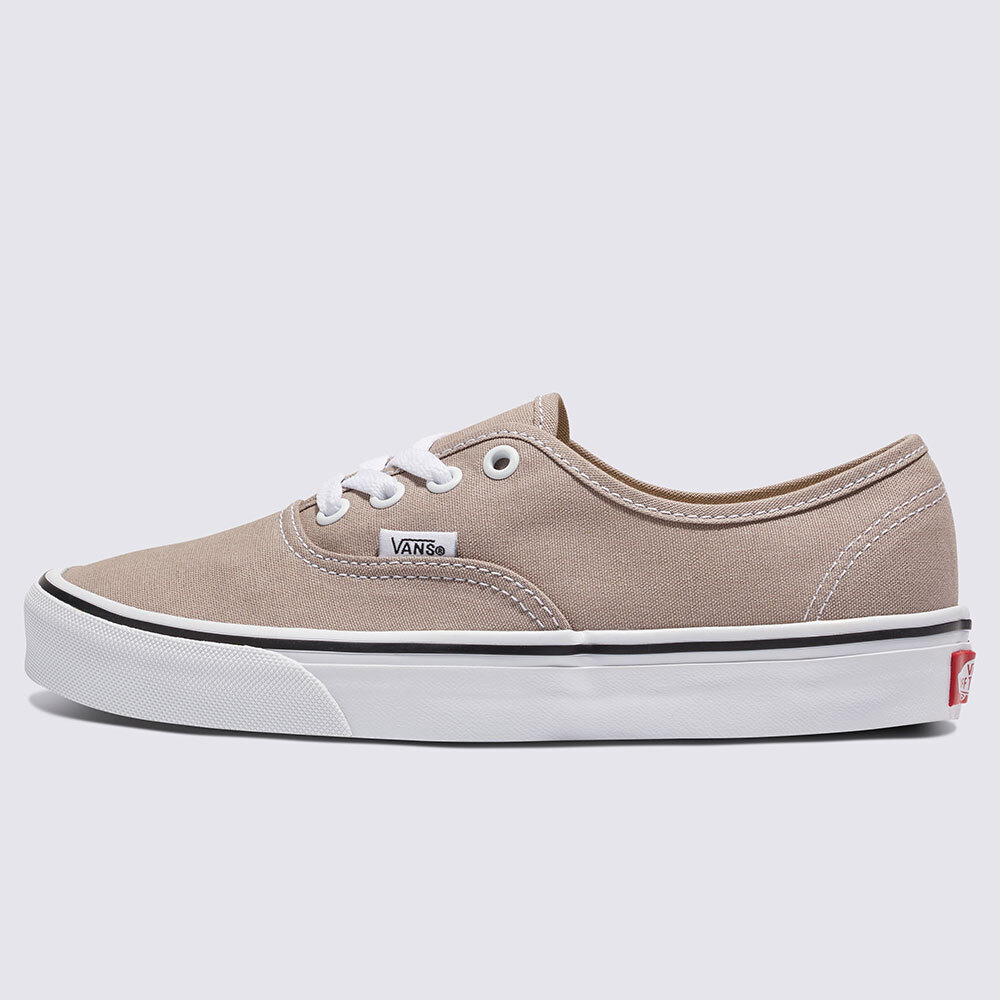 Vans Color Theory Authentic Skate Sneakers Shoes Atmosphere