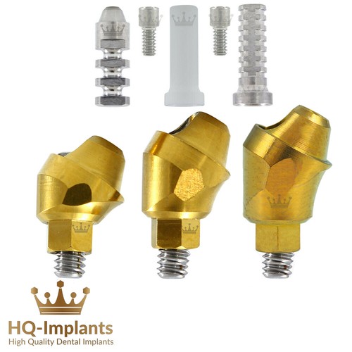 Angular 30° Multi Unit Mini Kit Dental Prosthetic Fixture Int Hex Titanium