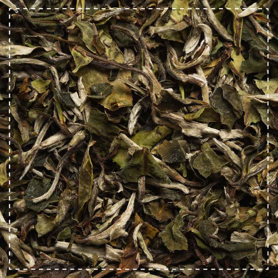 Weißer Tee Pai Mu Tan Bio 100g Biotiva (129,90 EUR/kg) - Bild 3 von 4