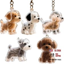 Transparent Dog Hair Keepsake Keychain - Memorial Pet Hair Storage Charm,
