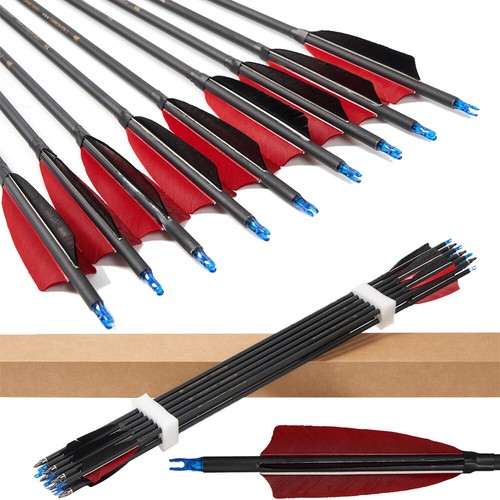 30Zoll Carbonpfeile Türkei Feder SP600 Bogenschießen Compound Recurve Bogen Jagd - Bild 17 von 19