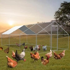 Large Walk in Chicken Coop Backyard Hen House Outdoor Farm Ranch Poultry Cage