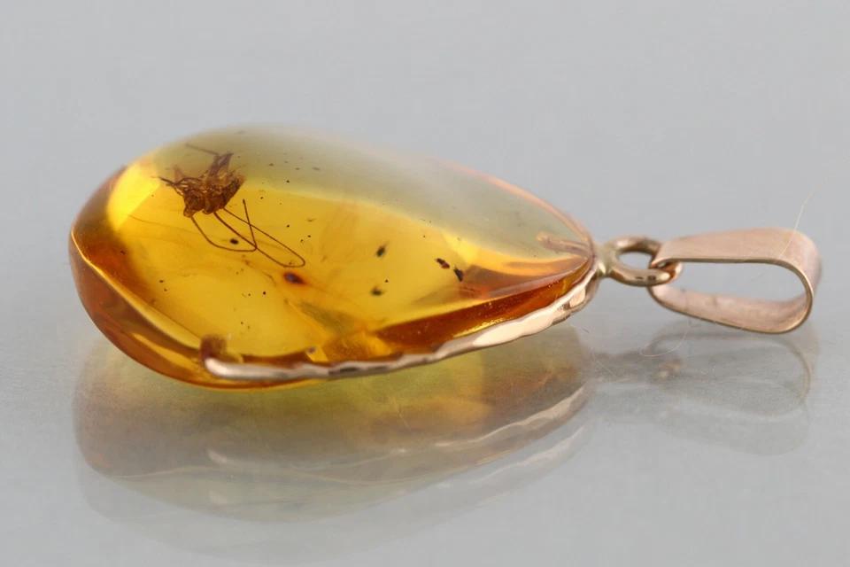 Bonito Colgante Fósil ÁMBAR BÁLTICO ORO 14K 2,9g 220407-1 Foto 3 de 4