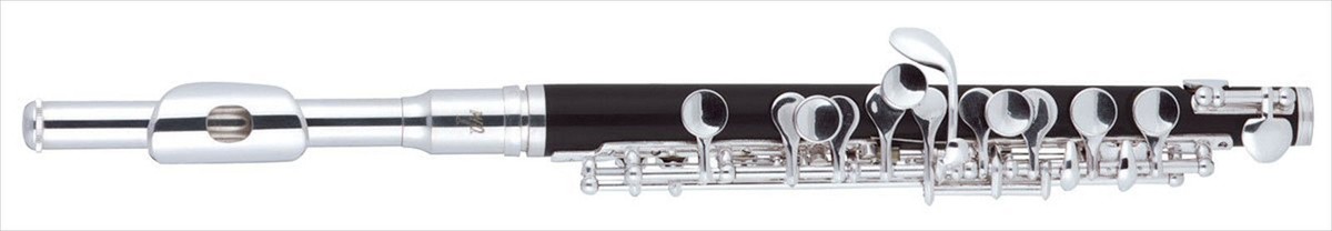 【未使用】J Michael PC-400 Amazon.com: J.Michael PC400 Small Flute : Musical Instruments
