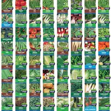 Vegetable Seeds, Herb Seeds, Fruit Seeds Parsley Dill Basil Beetroot Q88