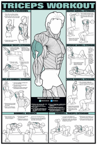 Fitnus Chart