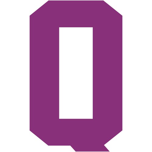 Varsity Letter Q Decal Sticker Vinyl Window Laptop College Athletic Team Sports - Picture 20 of 25