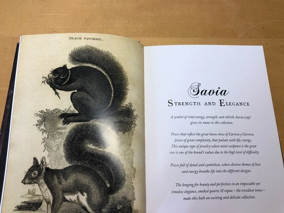 Catálogo - CARRERA Y CARRERA - Universo - Joyas - Inglés Foto 2 de 4