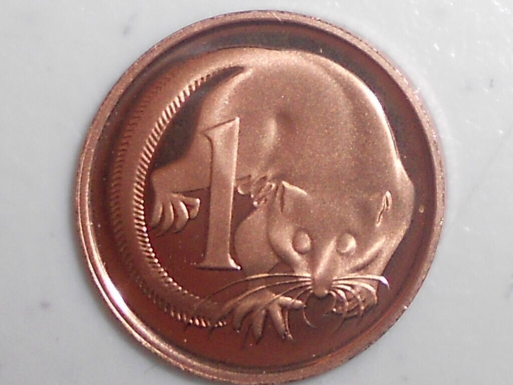 Picture 1 of 1