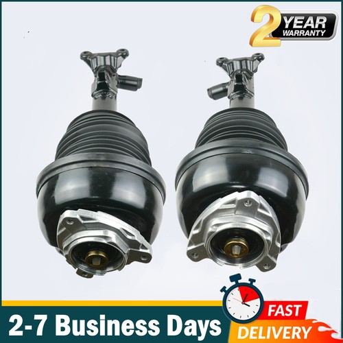 Pair Front Air Suspension Struts Fit Mercedes EClass W212 C218 CLS550