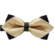 Flairs New York Gentleman's Diamond Pointed Pre-Tied Bow Tie