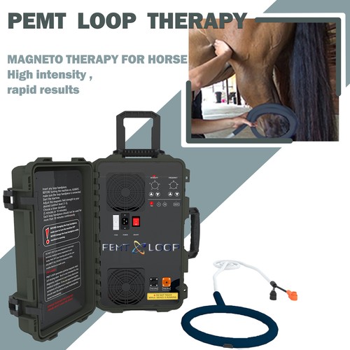 PMST LOOP 6000GS Therapy PEMF Pain Relief Device Joint Therapy