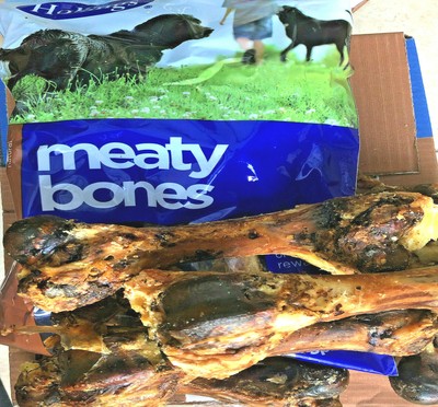 roasted dog bones