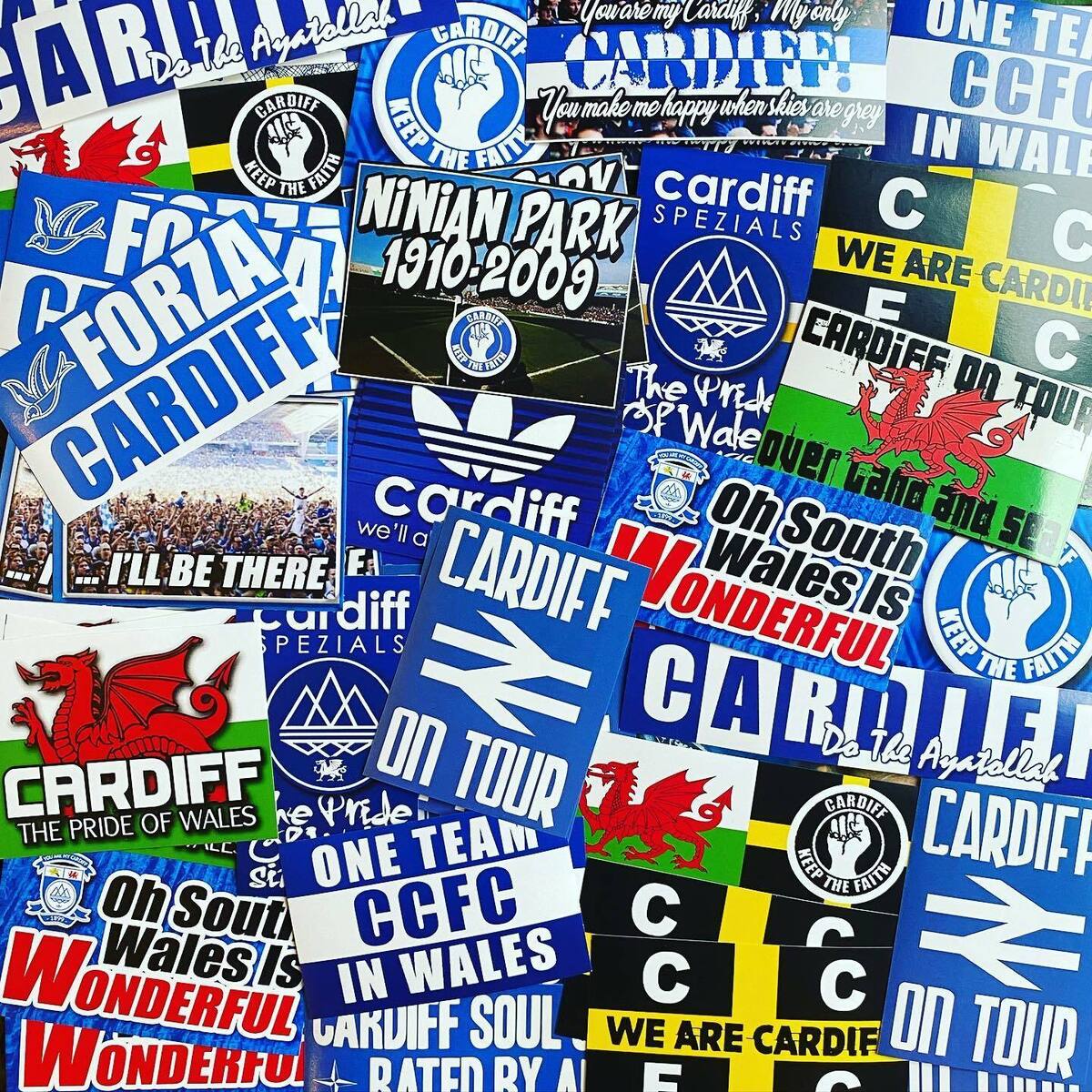 Cardiff City Football Club - CCFC