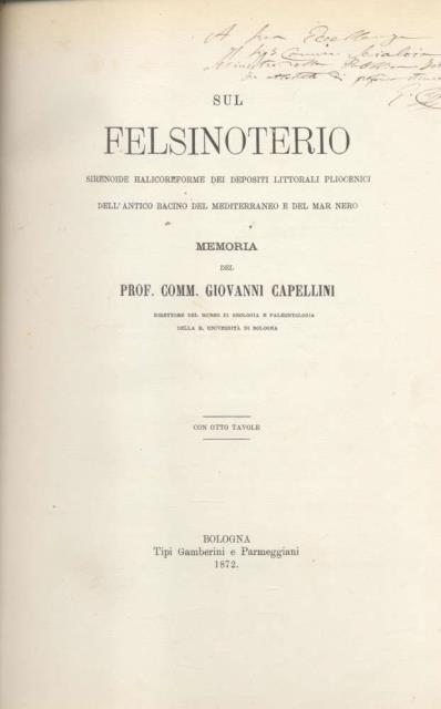 Foto 1 di 1