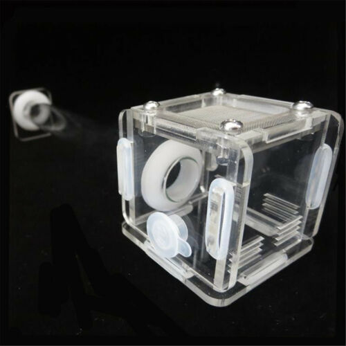 Mini Ant Nest Farm Acrylic Nest Tubes Farm Formicarium Small Colony Feeding Area - Picture 5 of 6