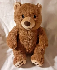 Kohls Cares for Kids Little Critter Brown Bear Plush Animal Mercer Mayer 10"