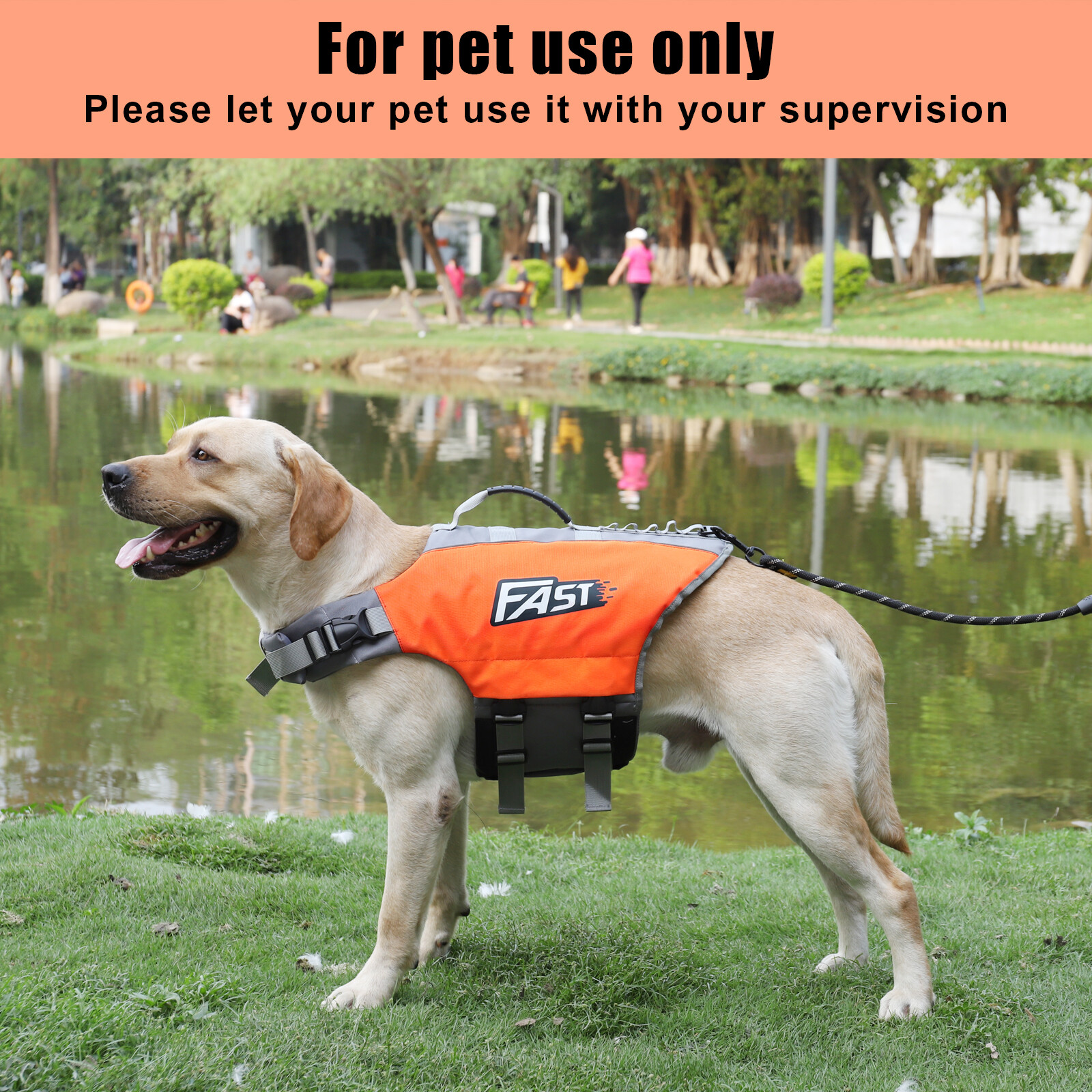 Dog Life Jacket
