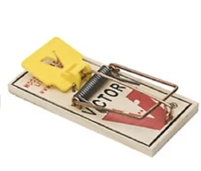 Victor Mouse Trap M325 Holdfast Snap Trap (12 Traps) Yellow Pedal