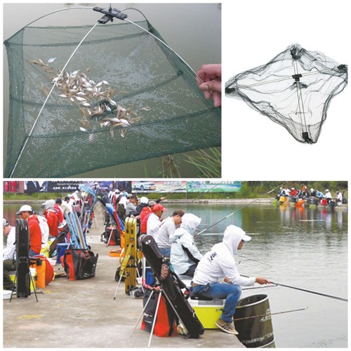 Fishing Bait Trap Crab Net Crawdad Shrimp Cast Dip Cage Fish Minnow Foldable - Picture 8 of 11
