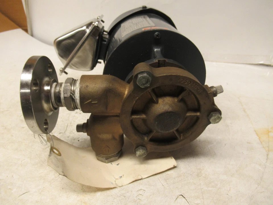 TOSHIBA 0.75KW 3/4" X 3/4" CENTRIFUGAL BRASS BRONZE PUMP 480V 2P 3PH 3480RPM - Image 3 of 4