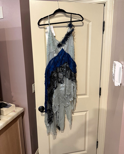 RODARTE DRESS AS SEEN ON SABRINA CARPENTER