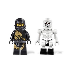 LEGO Ninjago: Ninjago Battle Arena 2520