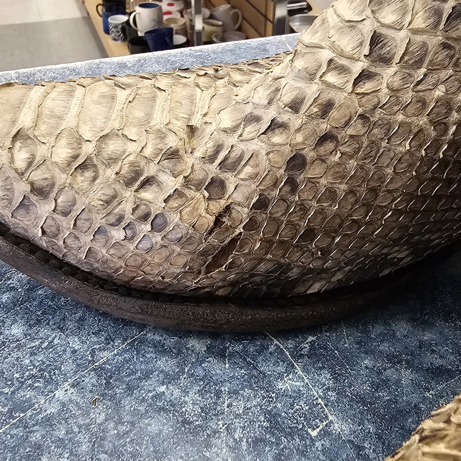 Dan Post Manning Python Snake Black/Natural Weste… - image 8