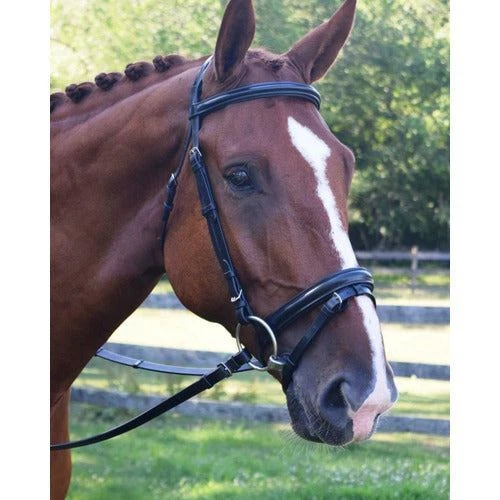 KL Select Juniper Dressage Bridle