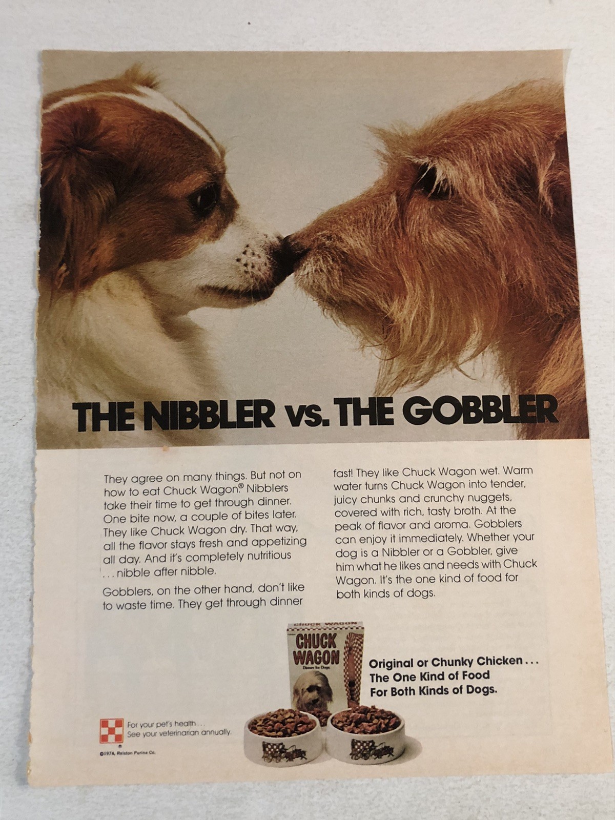 Print Ad Advert Pa12