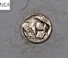 1934 Buffalo Nickel ~ Almost Uncirculated AU ~ ZB121