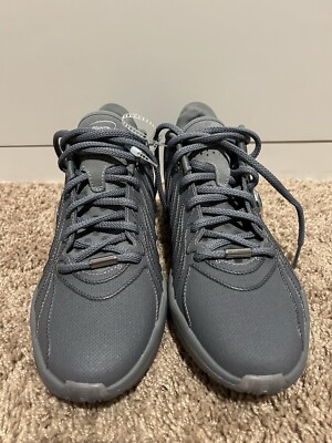 Nike LeBron XXI 21 Resilience Basketball Shoes Cool Grey/Metallic