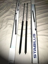 2 OEM Stabilus HATCH TAILGATE LIFTGATE Lift Support Struts Shocks for BMW Wagon
