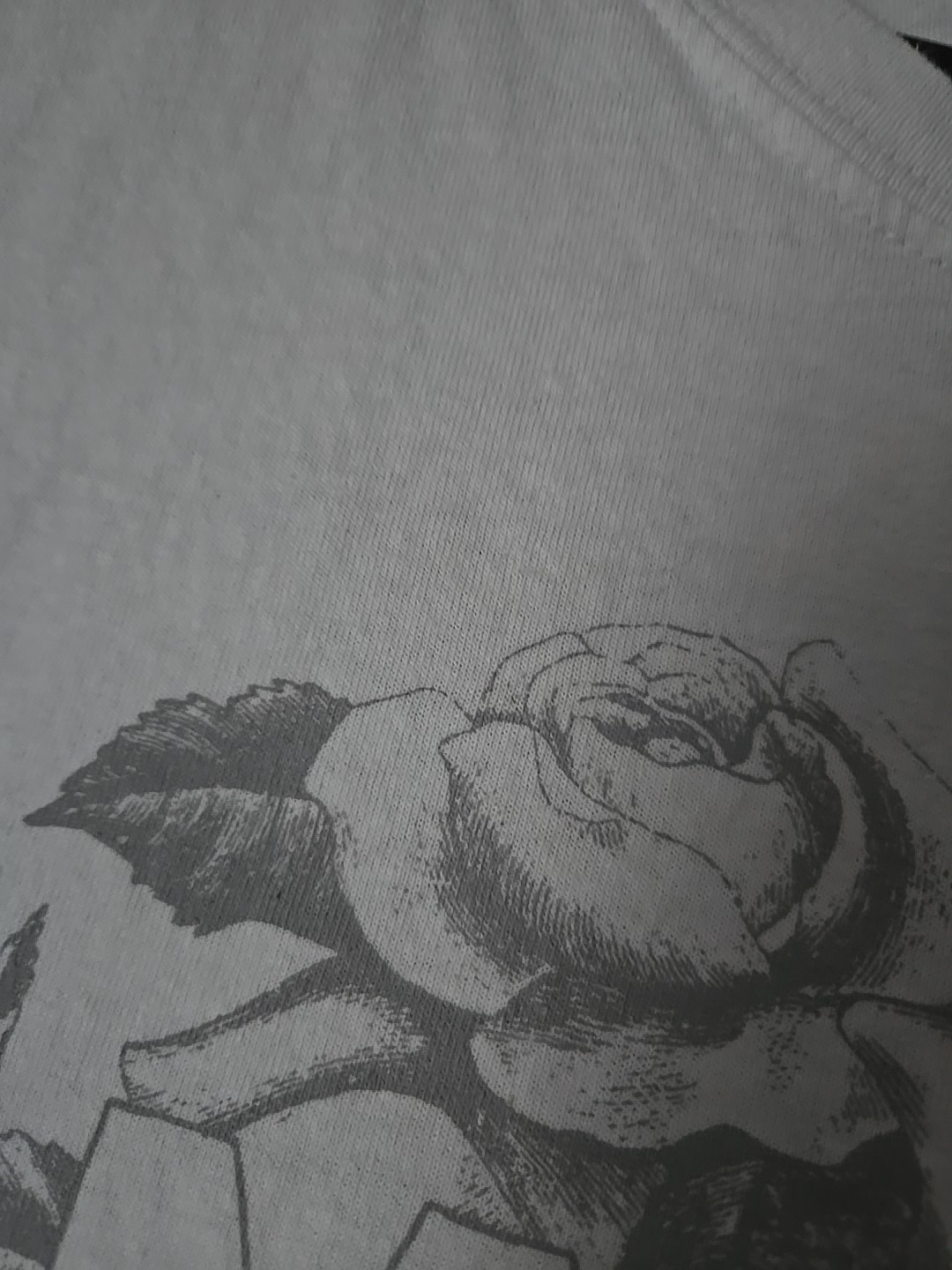 Picture 4 of 6