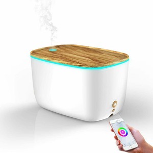 diffuser google home