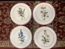 Primula Plates Made in Italy Lot of 8 Botanical Floral 8" Pink Rim. 4 Patterns!
