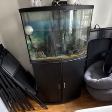 Bowfront Glass Fish Tank with Plywood Stand for Freshwater Aquarium