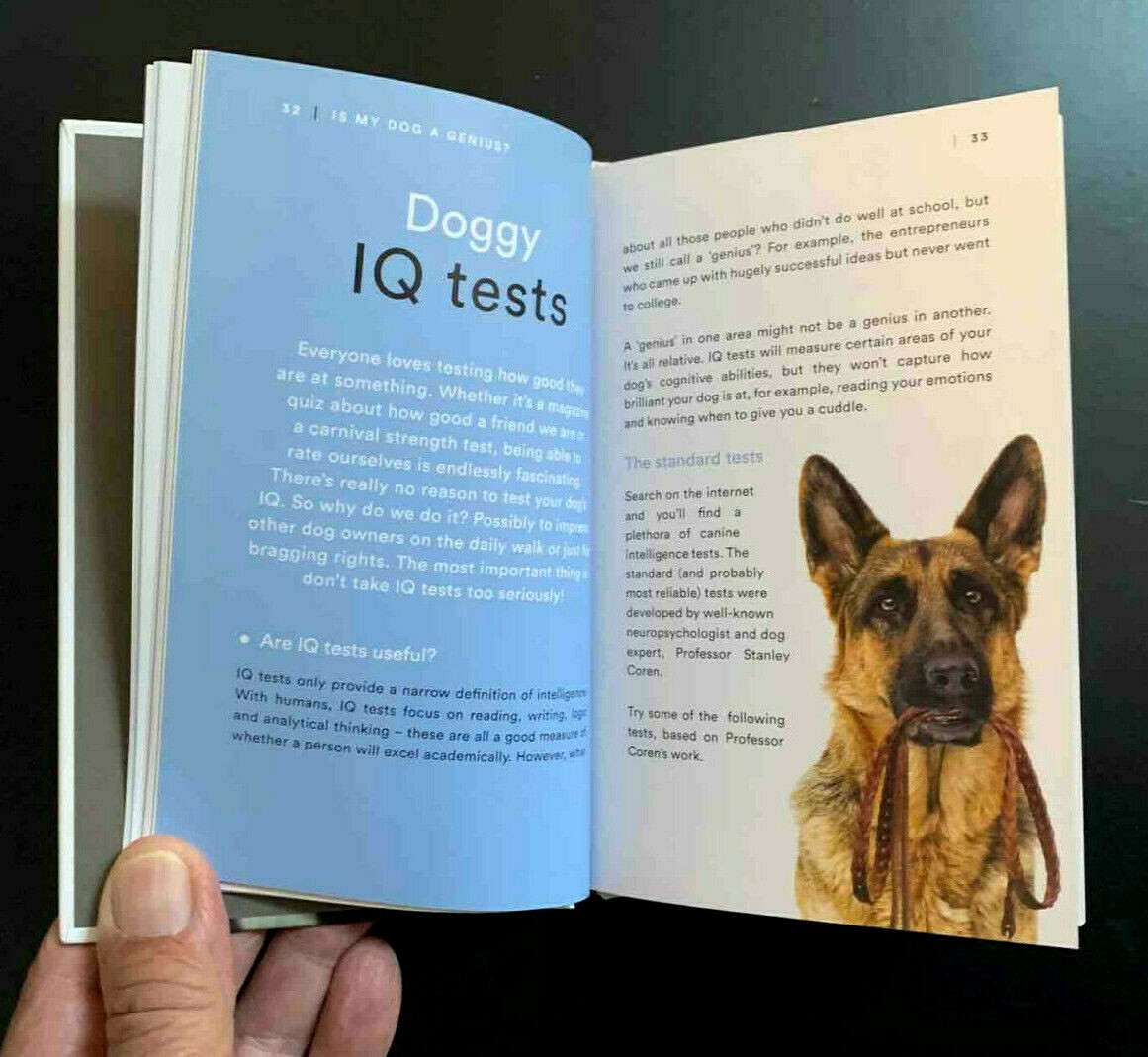 Iq Test Highest Iq Dog Border Collie Dog Breed Iq Border Collie