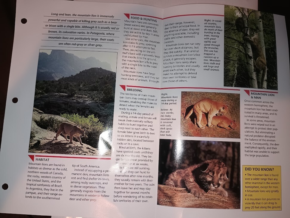(未使用･未開封品)Wildlife: Raccoon Mountain Lion Fishing Animals [DVD] Lion Ark DVD – Animal Defenders International Shop USA