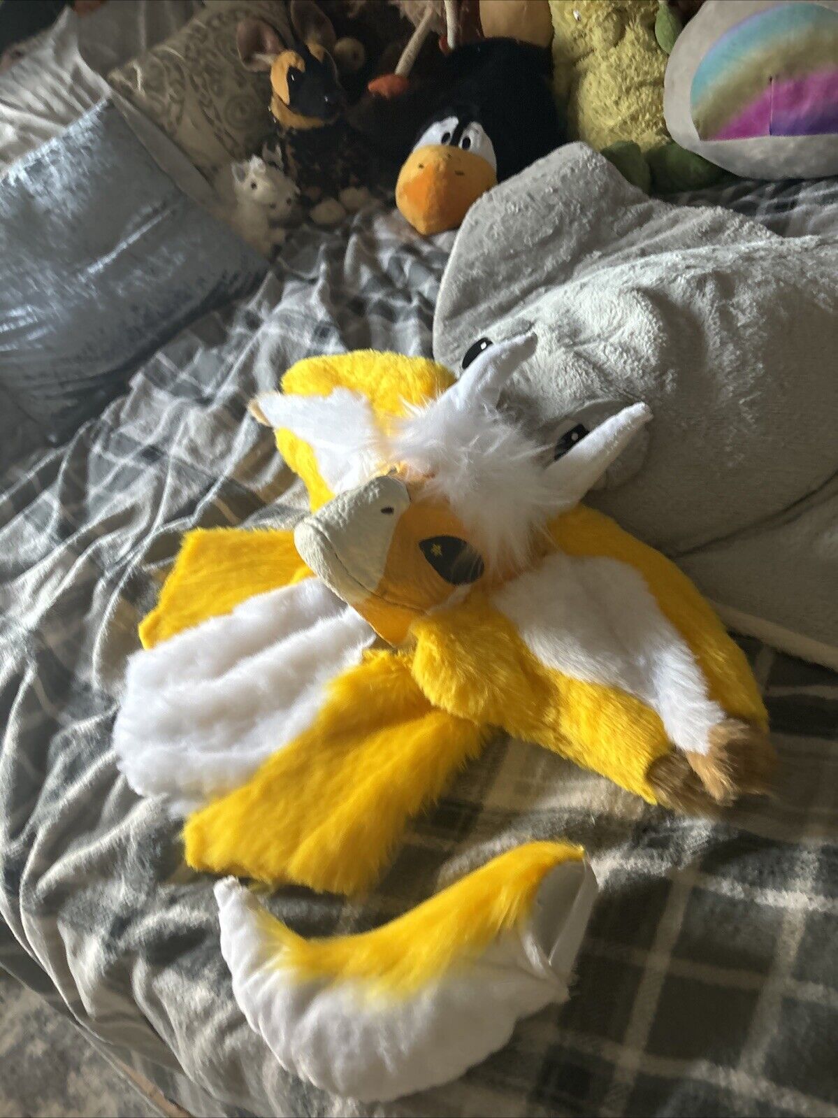 Picture 3 of 19