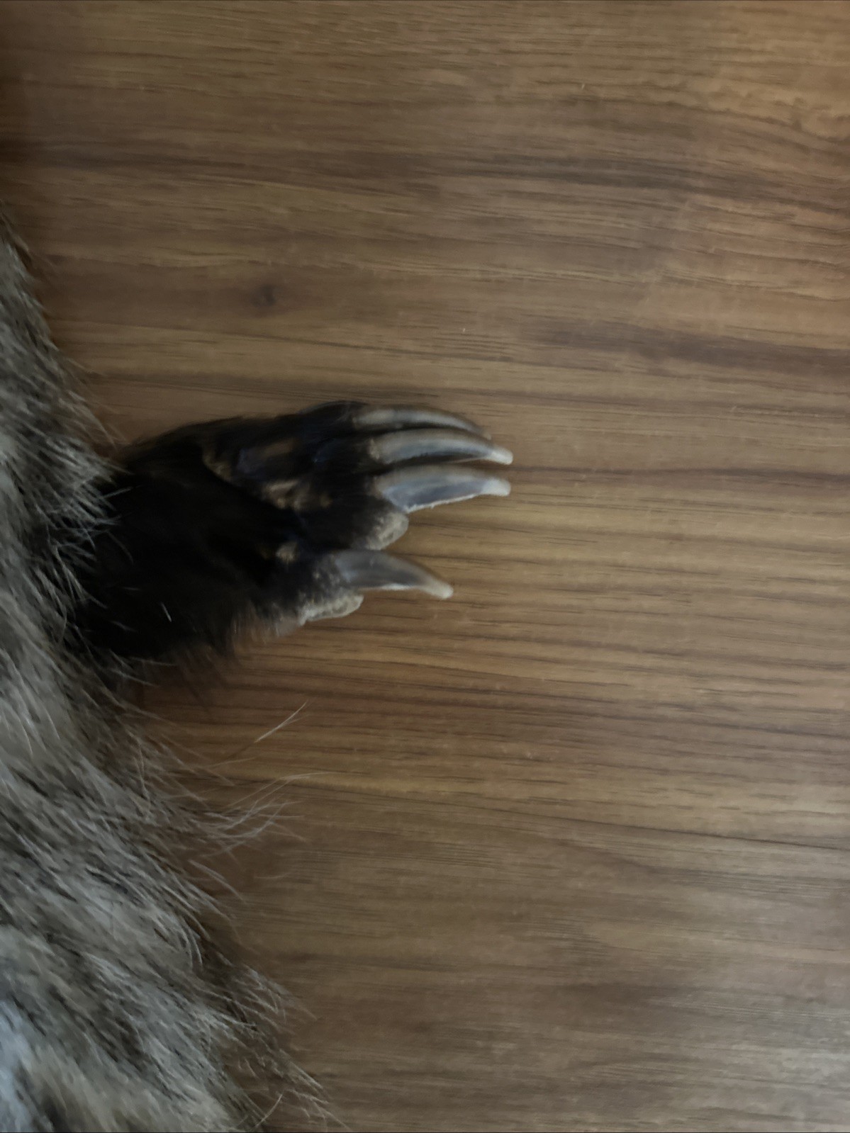 Bild 3 von 5