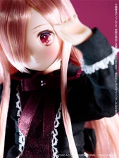 Azone Colorful Dreamin’ Mary knight Pink Ver Limited RARE Discontinued Doll New