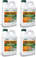 RR2 Rid O' Rust Extreme Water Stain Preventer for Irrigation Systems,... 
