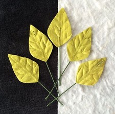 20 Leaves Small Light Green leaf Floral Cards wreaths scrapbooking wedding