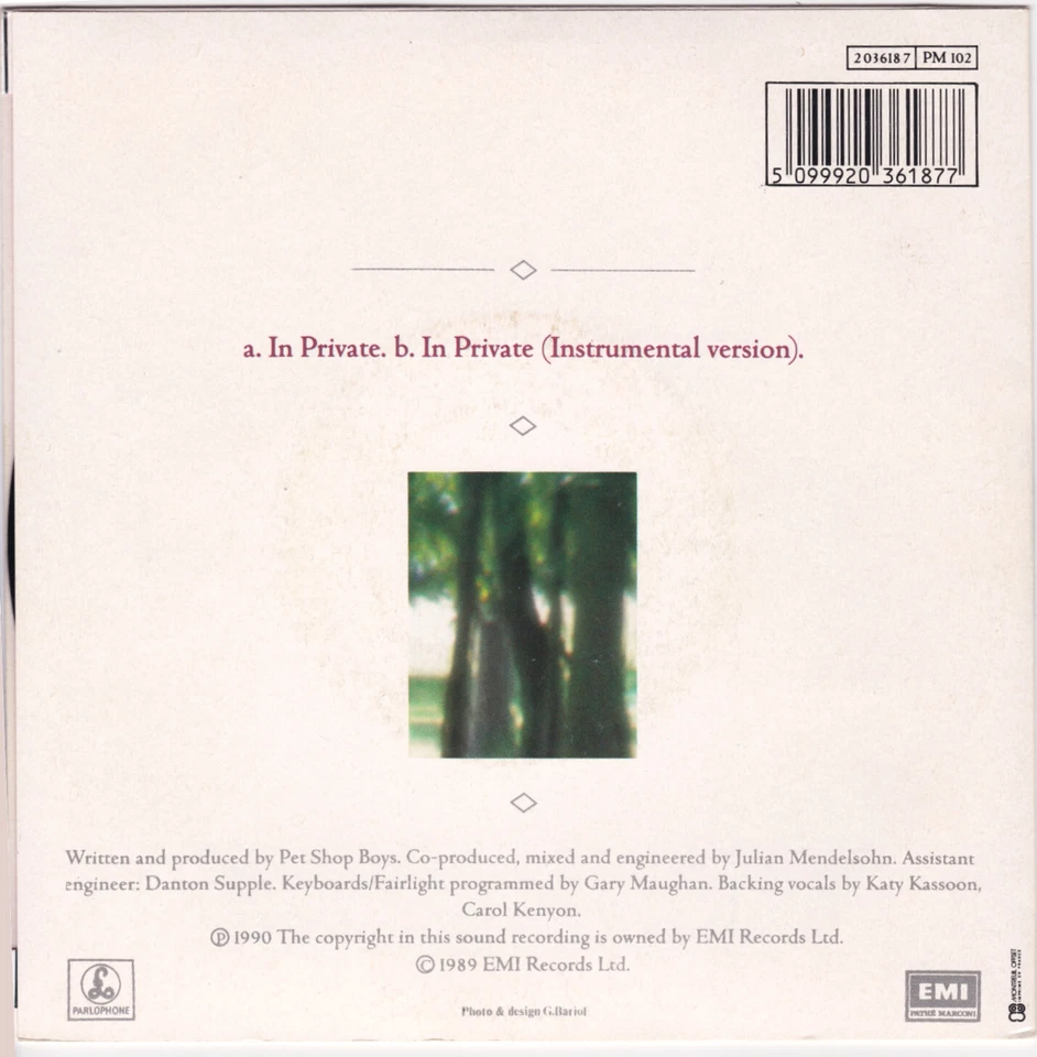 Dusty Springfield : In Private / In Private (Instrumental Version) - Photo 2/4