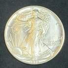 1988 American Silver Eagle 1 Oz .999 Fine Coin, No Reserve #603