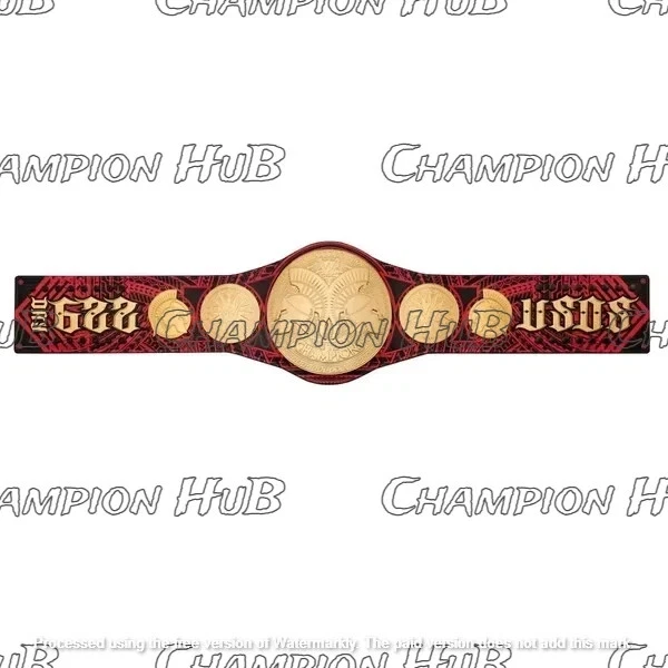 Nuevo cinturón de título personalizado USOS Tag Team Championship Wrestling 2 mm y 4 mm latón Foto 2 de 4