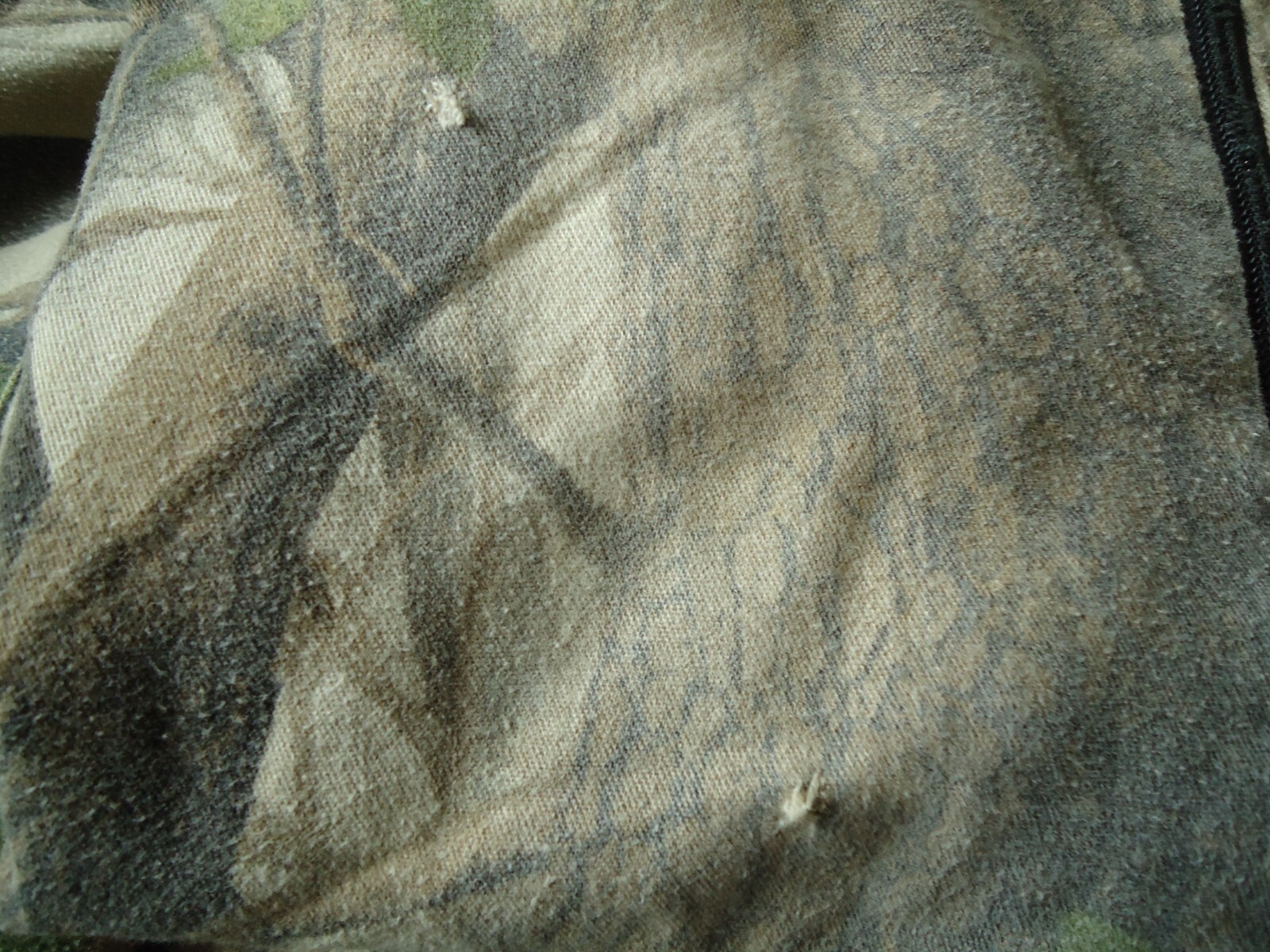 Picture 10 of 12